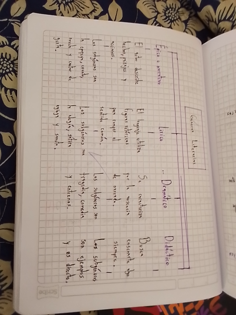 Foto de un curso de  Esquema de géneros literarios