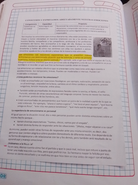 Foto de un curso de  Expresión adecuada de emociones