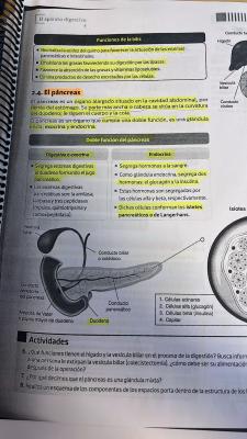 Foto de un curso de  Fonctions de la bile et du pancréas