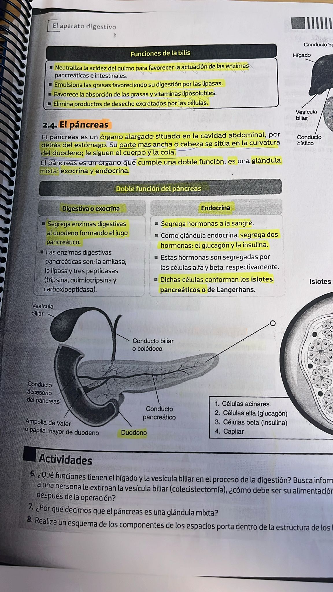 Foto de un curso de  Fonctions de la bile et du pancréas