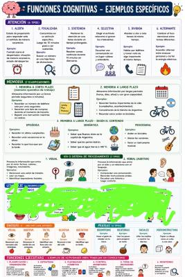 Foto de un curso de  Funciones Cognitivas y Ejemplos Específicos