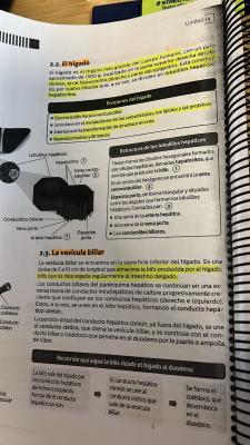 Foto de un curso de  Funciones del hígado y vesícula