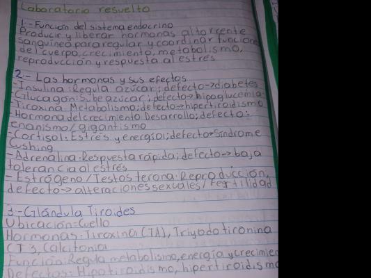 Foto de un curso de  Funciones del Sistema Endocrino