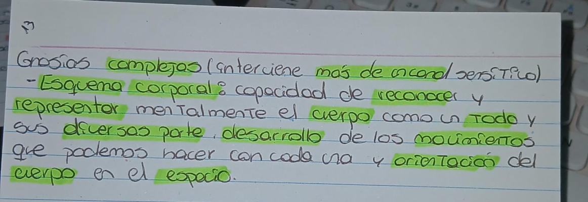 Foto de un curso de  Gnosis Complejas y Esquema Corporal