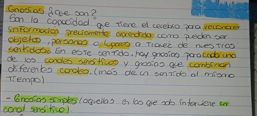 Foto de un curso de  Gnosis y su Función Cerebral