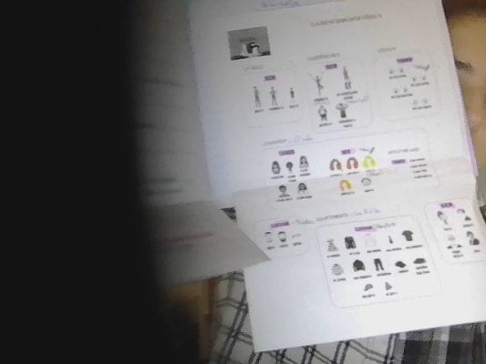 Foto de un curso de  Guía de vocabulario en francés