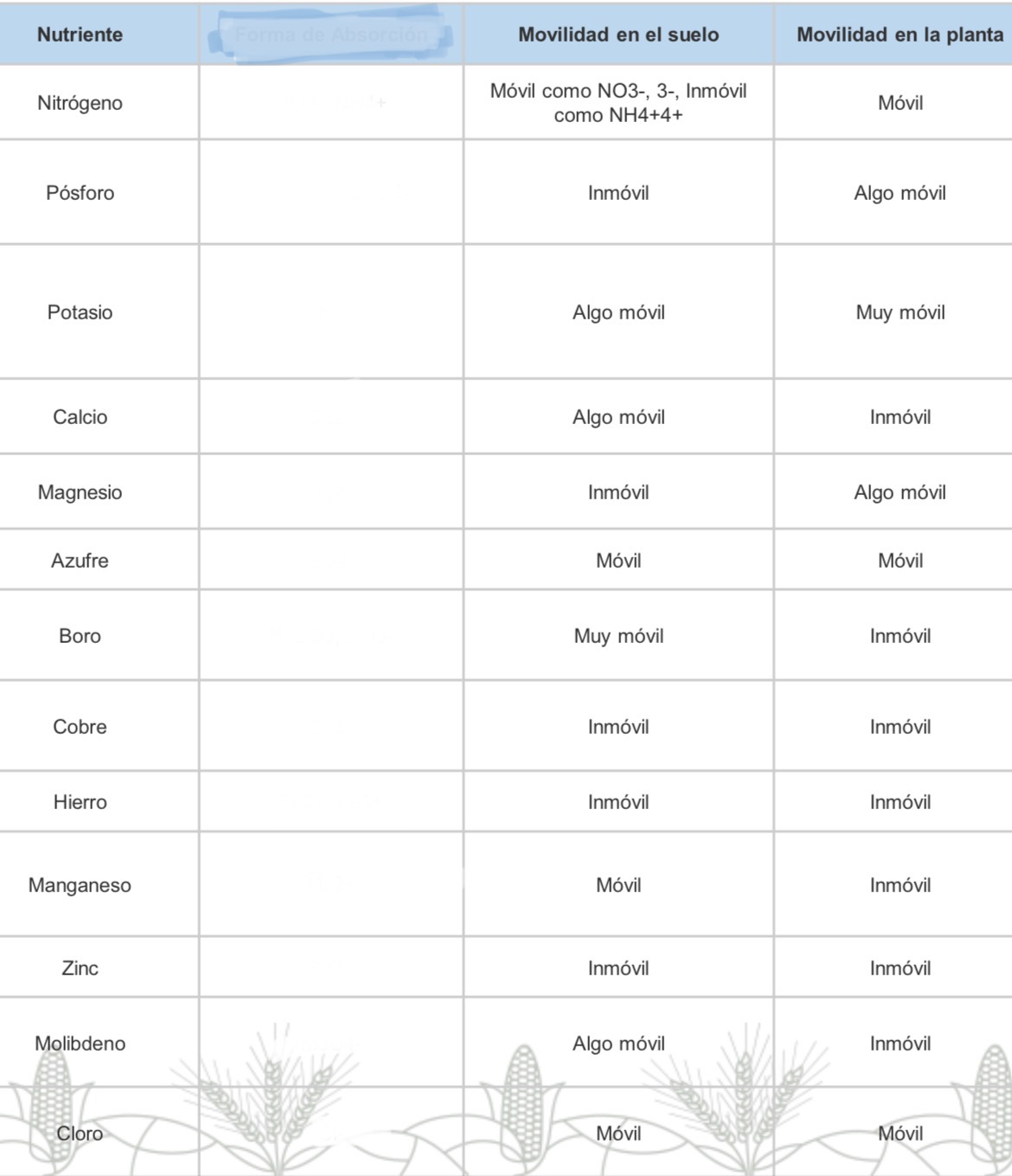 Foto de un curso de  Movilidad de Nutrientes en Plantas
