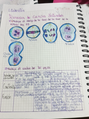 Foto de un curso de  Notas de Ciencias Naturales