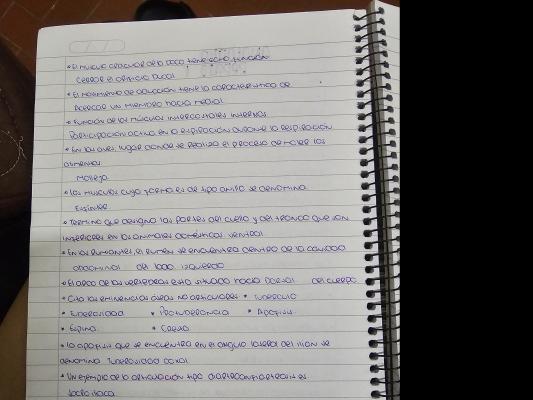 Foto de un curso de  Notas sobre anatomía y funciones