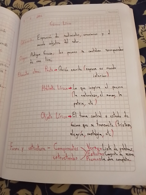 Foto de un curso de  Notas sobre el género lírico