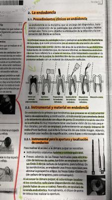 Foto de un curso de  Procedimientos Clínicos en Endodoncia