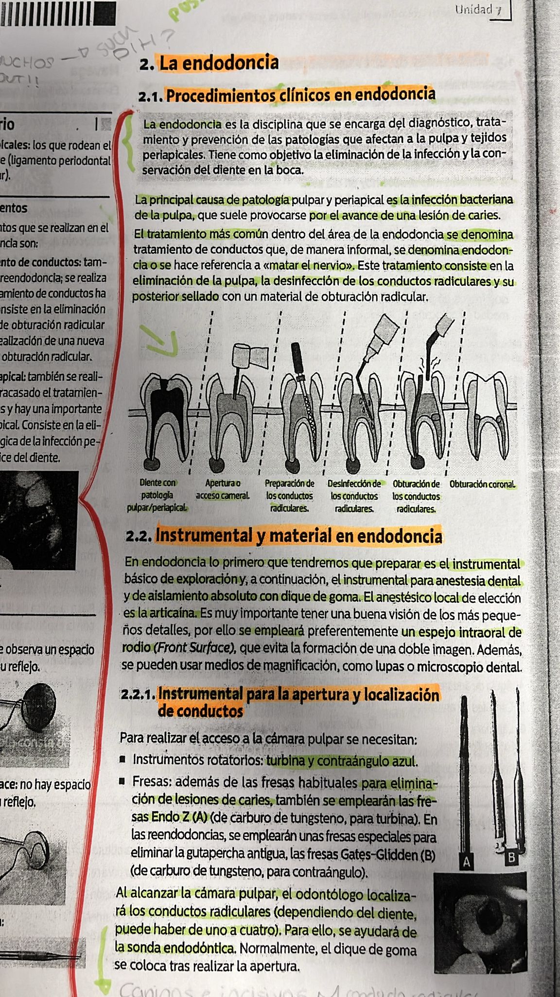 Foto de un curso de  Procedimientos Clínicos en Endodoncia