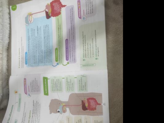 Foto de un curso de  Proceso de Digestión de Alimentos