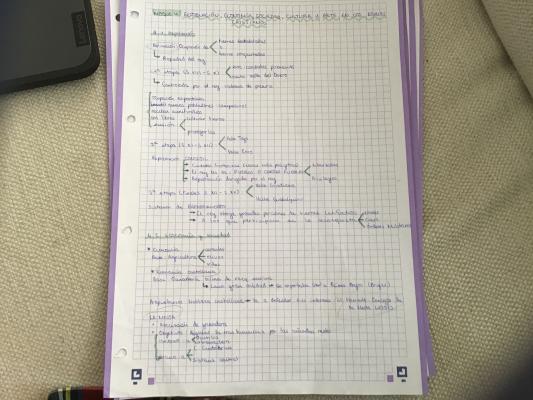 Foto de un curso de  Reproducción y economía en reinos