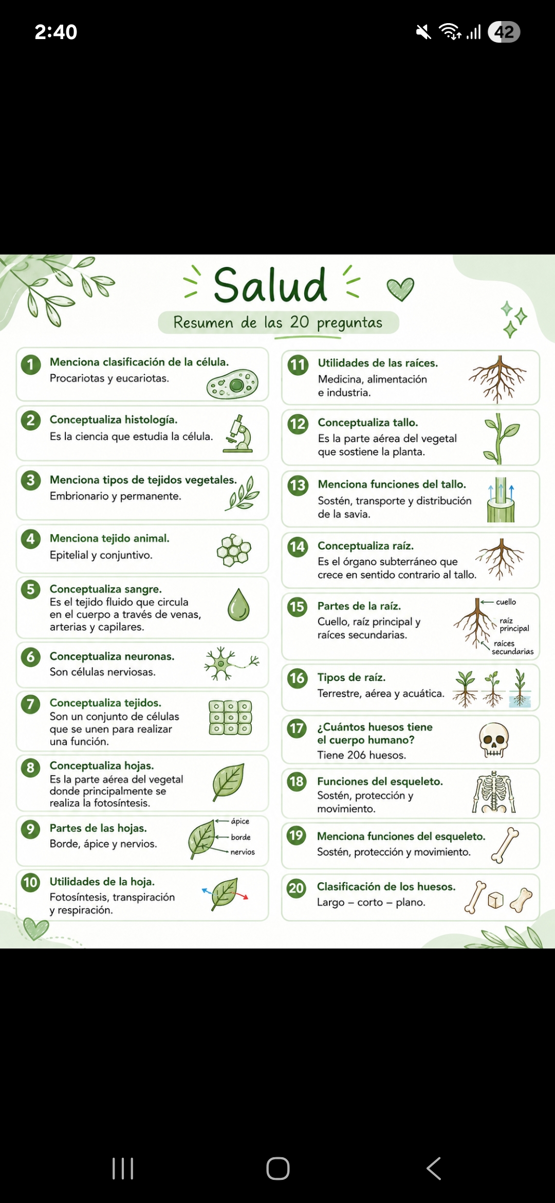 Foto de un curso de  Resumen de conceptos de salud