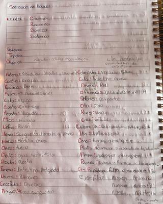 Foto de un curso de  Terminología Médica y Secreción Líquida