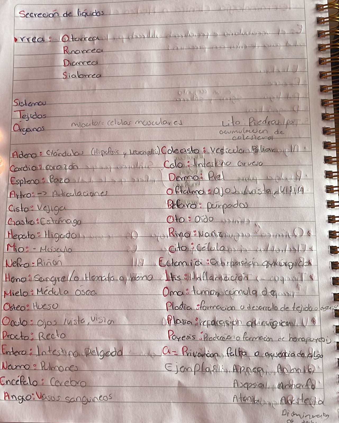 Foto de un curso de  Terminología Médica y Secreción Líquida