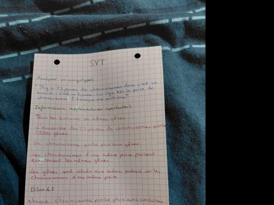 Photo d'un cours de  Analyse des caryotypes humains