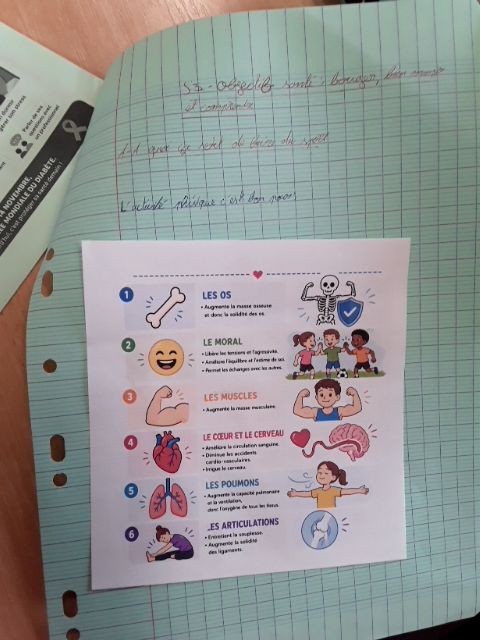 Photo d'un cours de  Bienfaits de l'activité physique