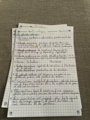 photo  Biologie : Les glandes humaines quiz