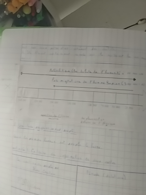 Photo d'un cours de  Chronologie de l'évolution humaine