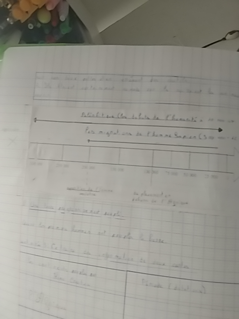 Photo d'un cours de  Chronologie de l'évolution humaine