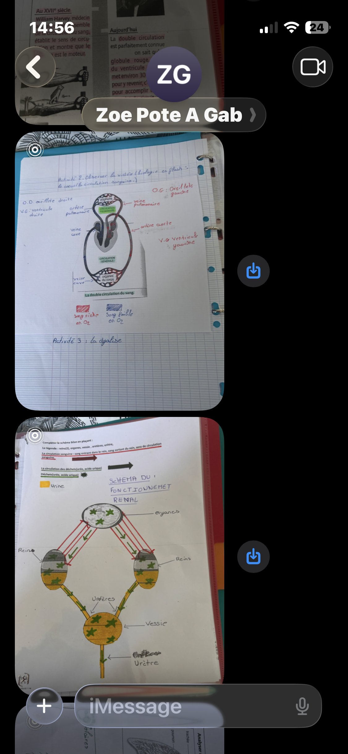 Photo d'un cours de  Circulation sanguine et rénale