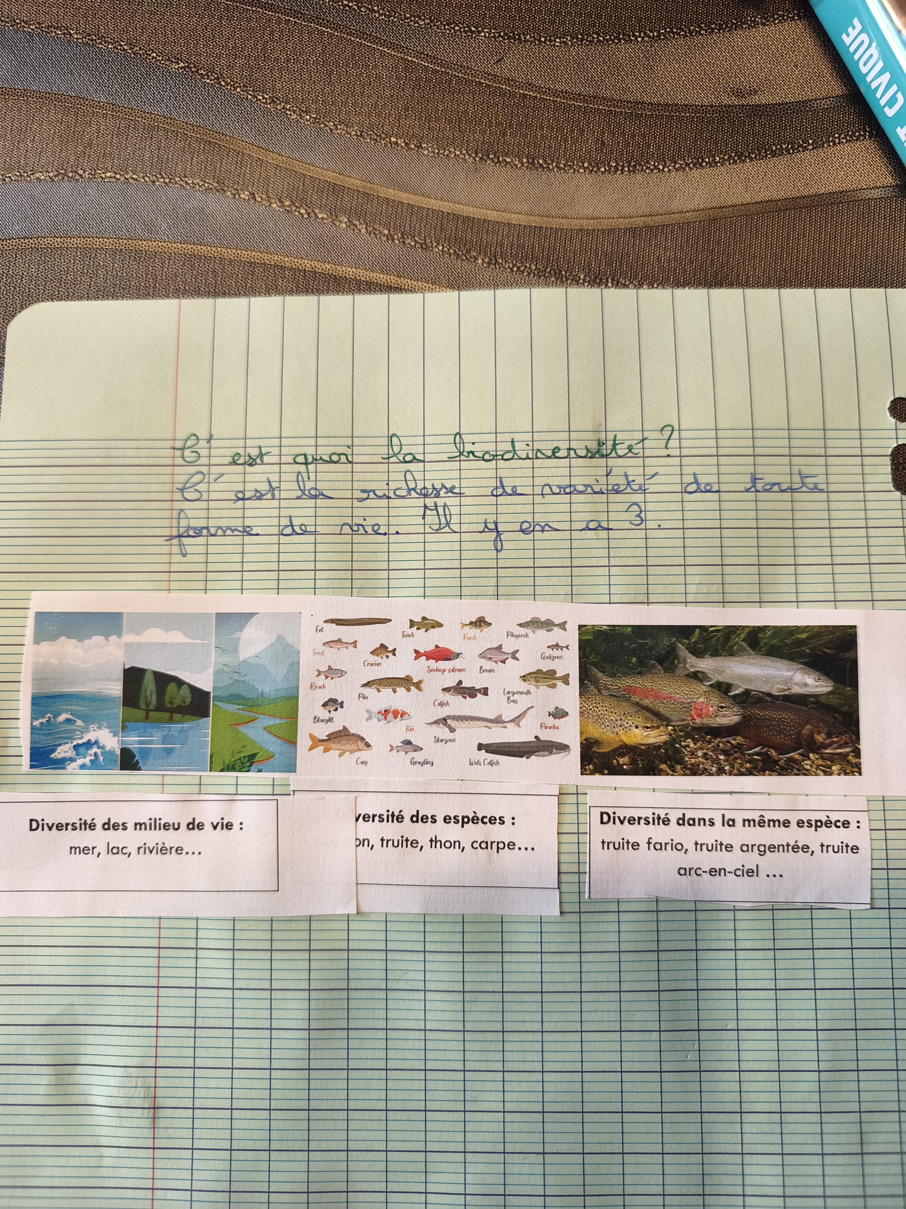 Photo d'un cours de  Comprendre la biodiversité aquatique