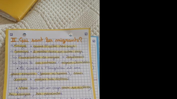 Photo d'un cours de  Comprendre les dynamiques migratoires