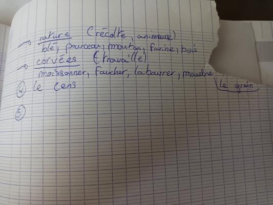 Photo d'un cours de  Concepts et travaux agricoles traditionnels