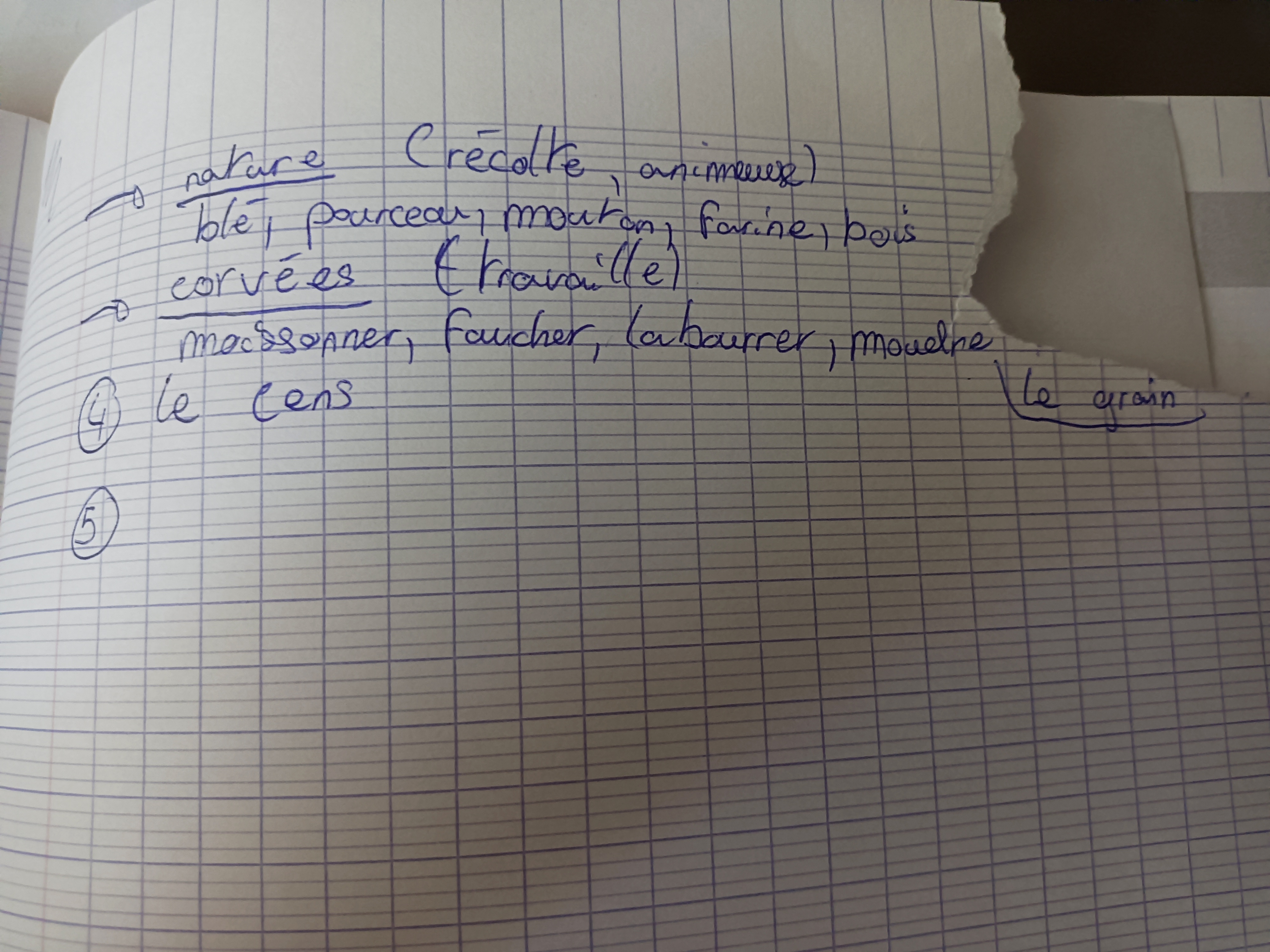Photo d'un cours de  Concepts et travaux agricoles traditionnels