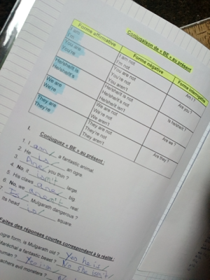 Photo d'un cours de  Conjugaison du verbe BE