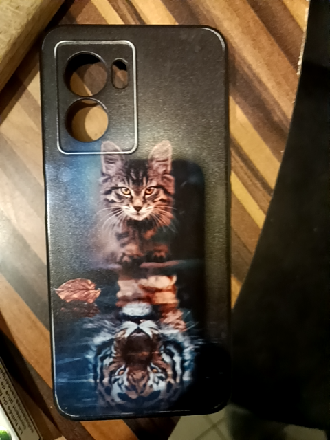 Photo d'un cours de  Coque de téléphone artistique