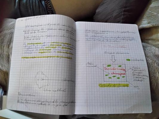 Photo d'un cours de  Cours sur la Photosynthèse