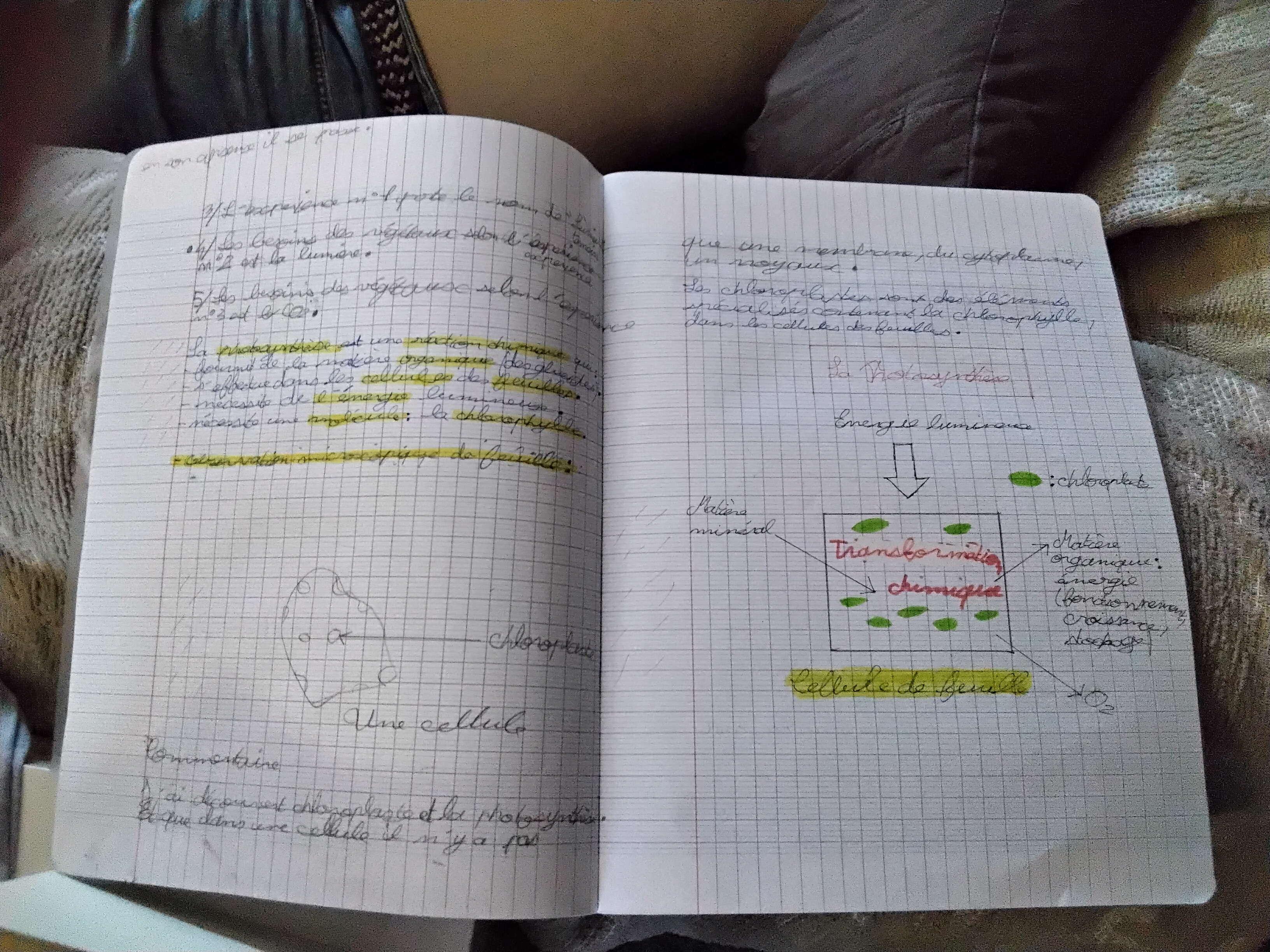 Photo d'un cours de  Cours sur la Photosynthèse