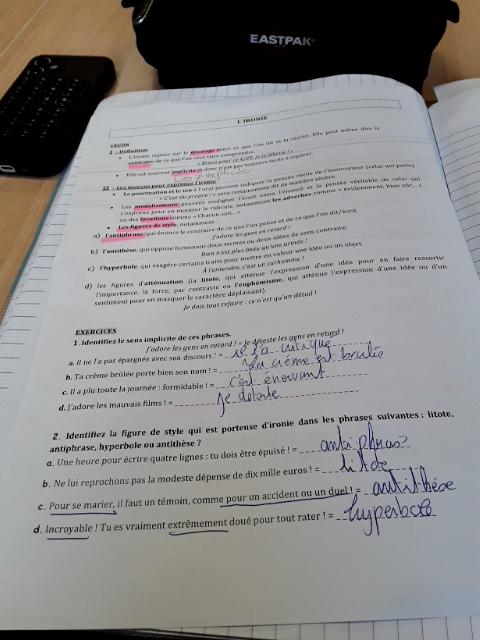 Photo d'un cours de  Cours sur l'ironie et figures