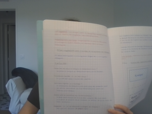 Photo d'un cours de  Cours sur l'Union Européenne