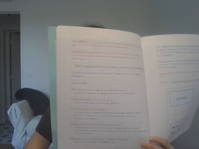 Photo d'un cours de  Cours sur l'Union Européenne