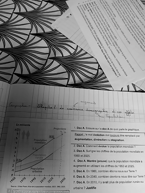 Photo d'un cours de  Croissance démographique mondiale 1950-2025