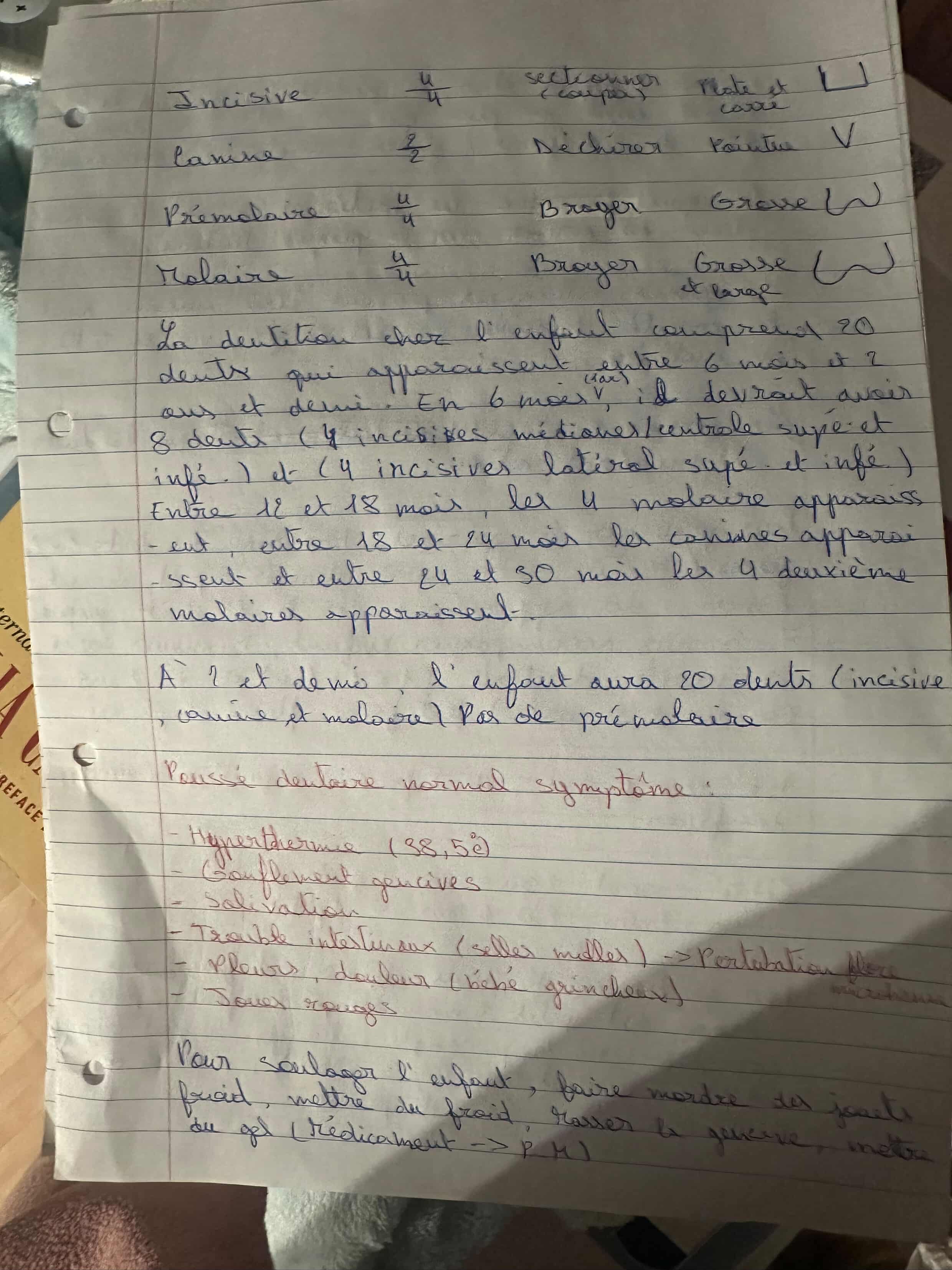 Photo d'un cours de  Dentition et Poussée Dentaire Enfant