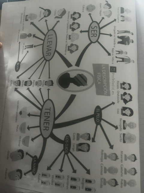 Photo d'un cours de  Description Physique en Espagnol