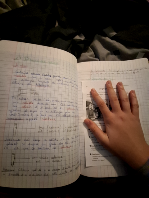 Photo d'un cours de  Dissolutions Acides et Réactions