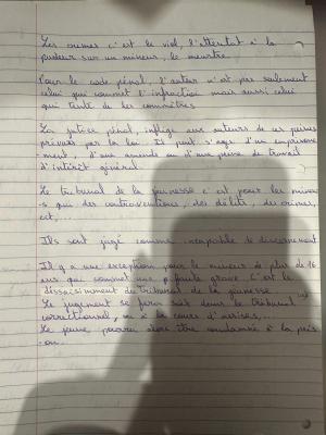 Photo d'un cours de  Droit pénal et mineurs