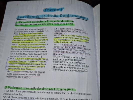 Photo d'un cours de  Droits et libertés fondamentaux