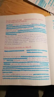 Photo d'un cours de  Dynamisme des Espaces Industriels Français