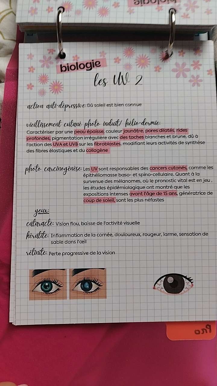Photo d'un cours de  Effets des UV sur santé