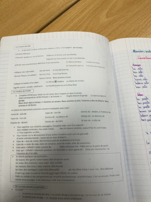 Photo d'un cours de  Emplois des verbes ser et estar