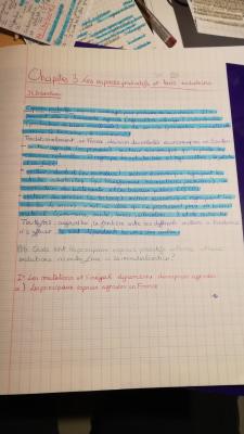 Photo d'un cours de  Espaces Productifs et Évolutions