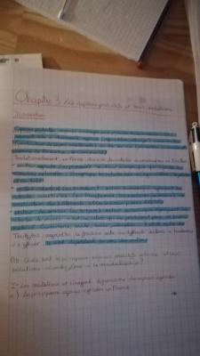 Photo d'un cours de  Espaces Productifs et Évolutions Françaises