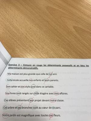 Photo d'un cours de  Exercice sur les déterminants français